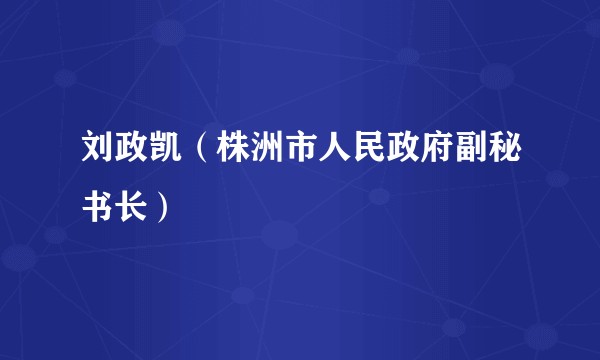 刘政凯(株洲市人民政府副秘书长)