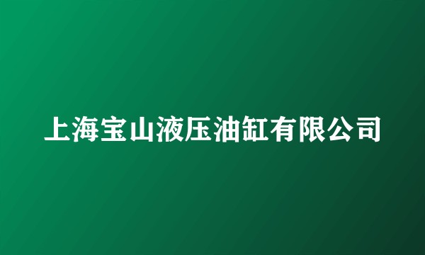 上海宝山液压油缸有限公司