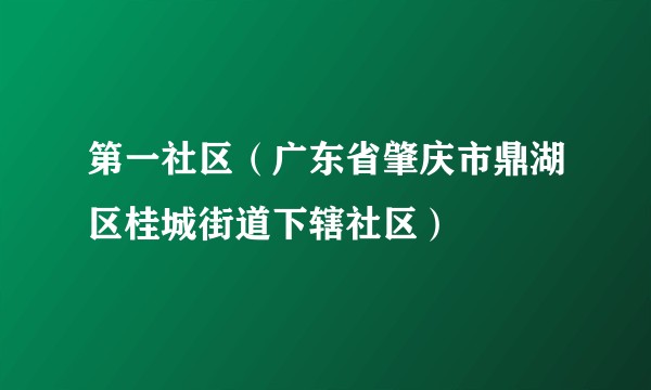 第一社区(广东省肇庆市鼎湖区桂城街道下辖社区)