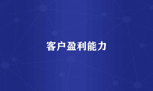 客户盈利能力