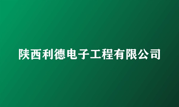 陕西利德电子工程有限公司
