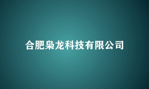 合肥枭龙科技有限公司