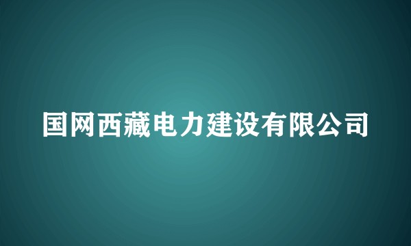 国网西藏电力建设有限公司