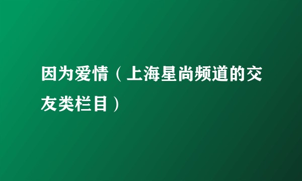 因为爱情（上海星尚频道的交友类栏目）