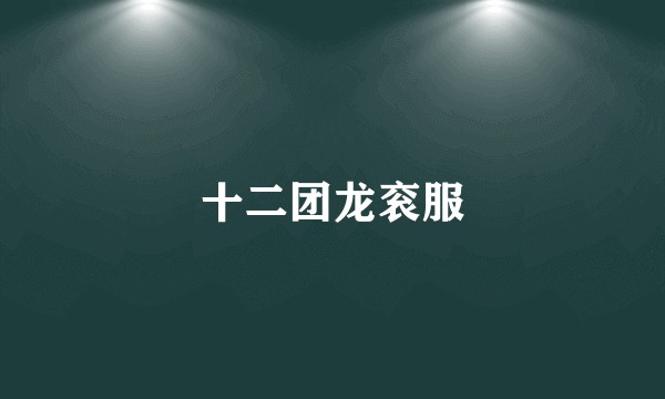 十二团龙衮服