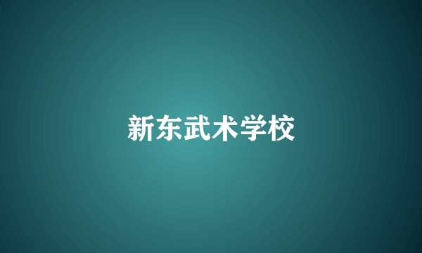 新东武术学校