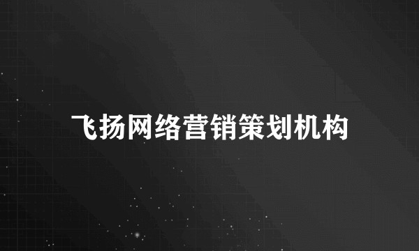 飞扬网络营销策划机构