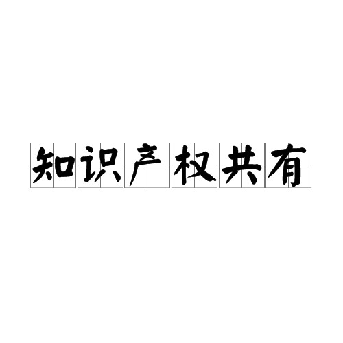 知识产权共有