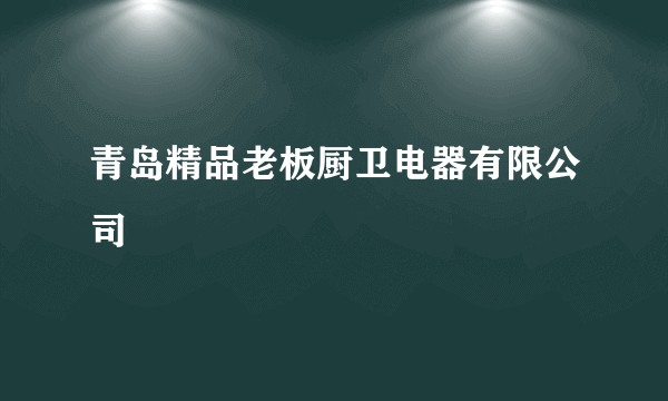 青岛精品老板厨卫电器有限公司
