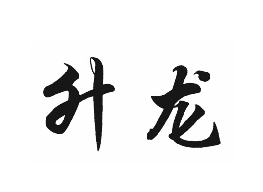 广州市升龙灯光设备有限公司