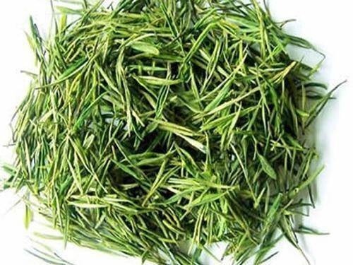 龟山岩绿