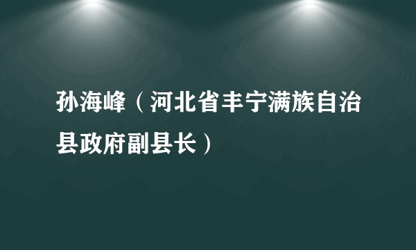 孙海峰(河北省丰宁满族自治县政府副县长)