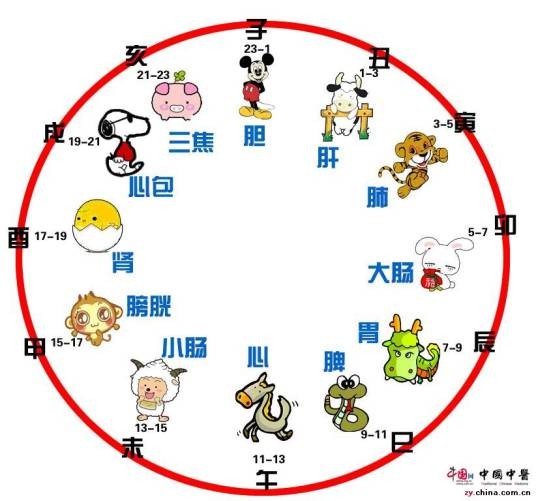 中医养生师