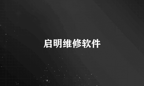 启明维修软件