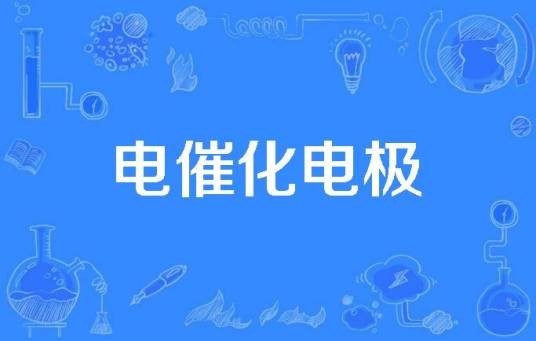 电催化电极