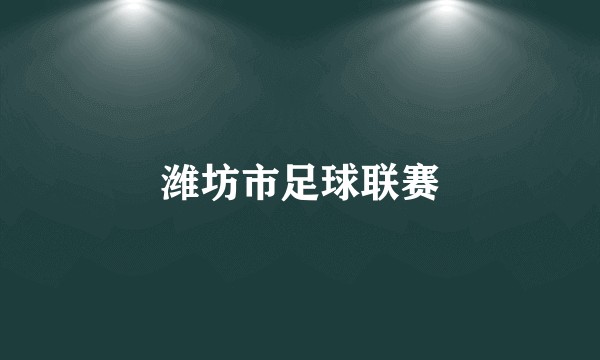 潍坊市足球联赛