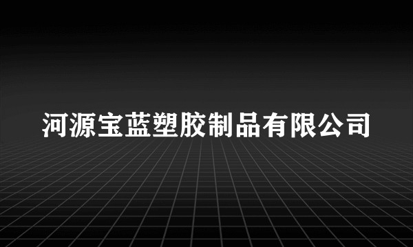 河源宝蓝塑胶制品有限公司