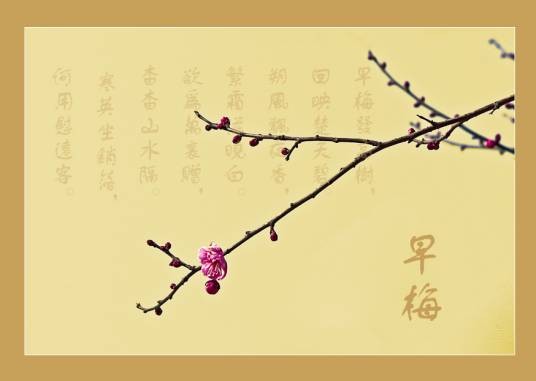 早梅(柳宗元诗《早梅》)