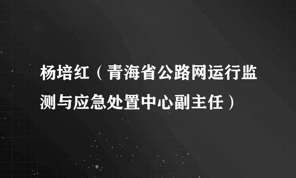 杨培红（青海省公路网运行监测与应急处置中心副主任）