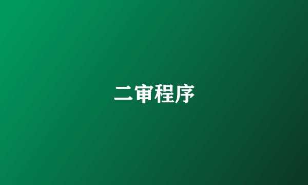 二审程序