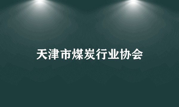 天津市煤炭行业协会