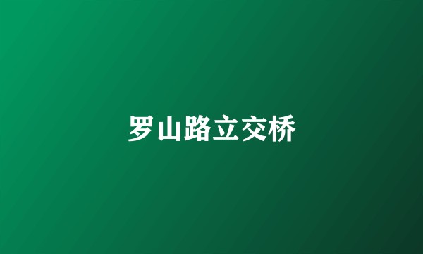 罗山路立交桥