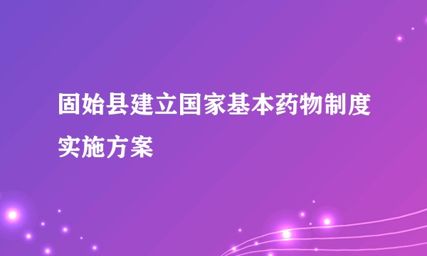 固始县建立国家基本药物制度实施方案