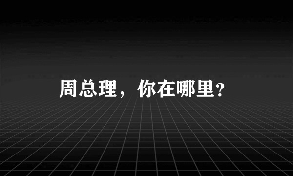 周总理,你在哪里?