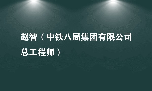 赵智(中铁八局集团有限公司总工程师)