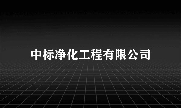 中标净化工程有限公司