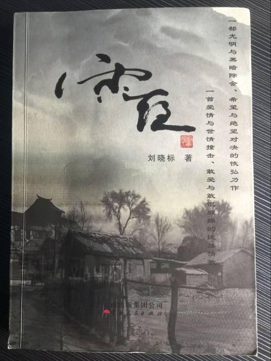 雨夜(2013年云南人民出版社出版的图书)