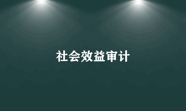 社会效益审计