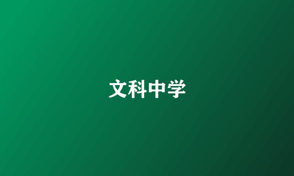 文科中学