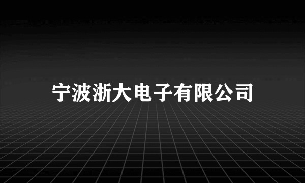 宁波浙大电子有限公司