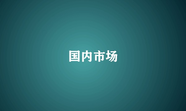 国内市场