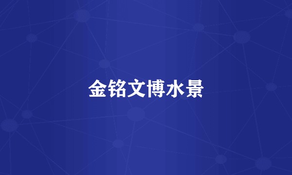 金铭文博水景