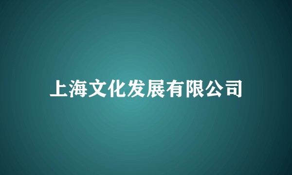 上海文化发展有限公司