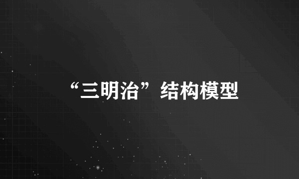 “三明治”结构模型