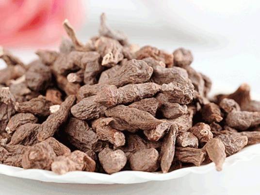 玉树蕨麻