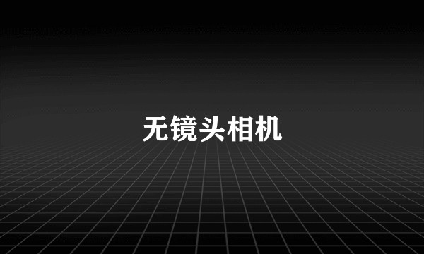 无镜头相机