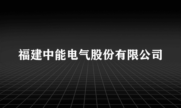 福建中能电气股份有限公司