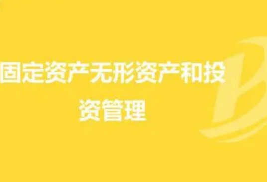 无形资产投资(应用经济学概念)