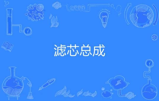 滤芯总成
