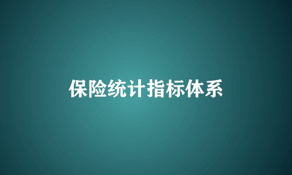 保险统计指标体系