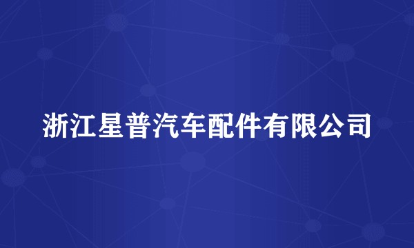 浙江星普汽车配件有限公司