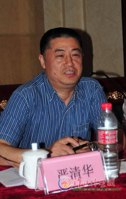 严清华(武汉大学经济与管理学院教授)