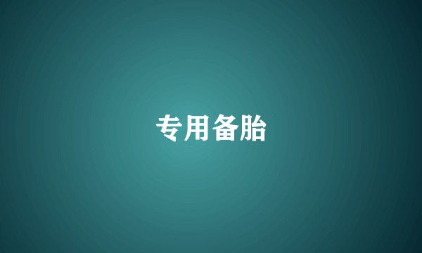 专用备胎