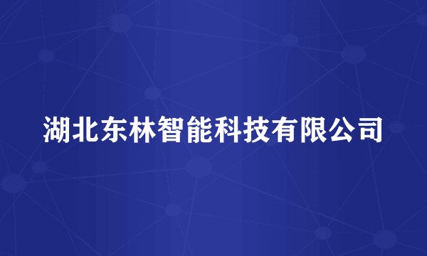湖北东林智能科技有限公司