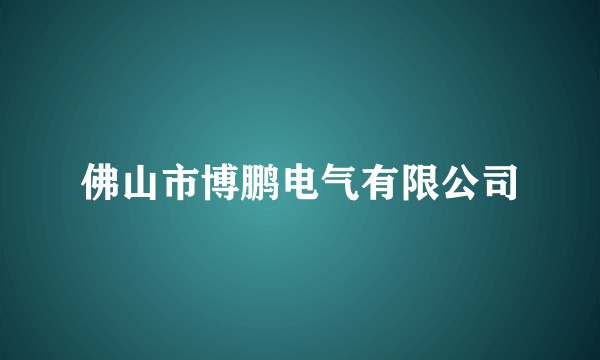 佛山市博鹏电气有限公司