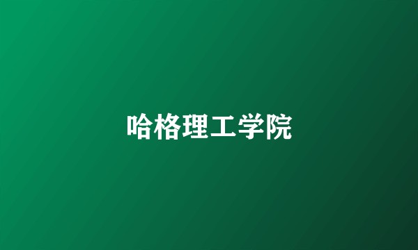 哈格理工学院